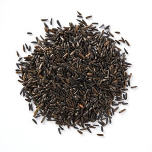 Tukh Malanga | تخم بالنگو